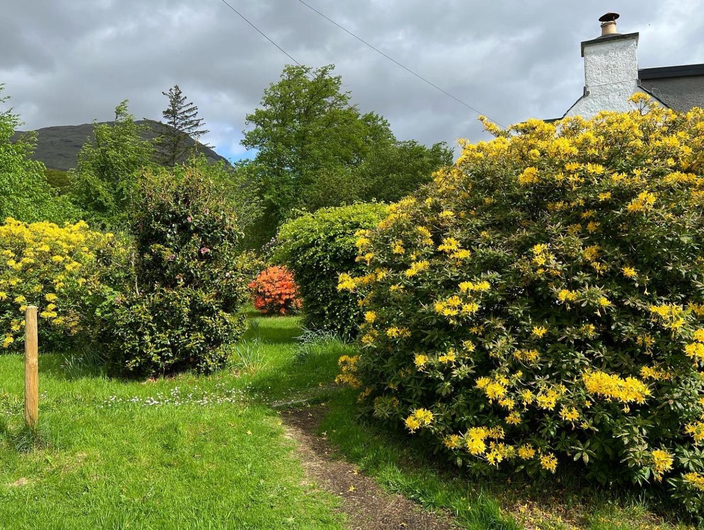 Croft 11 Clovullin * Ardgour