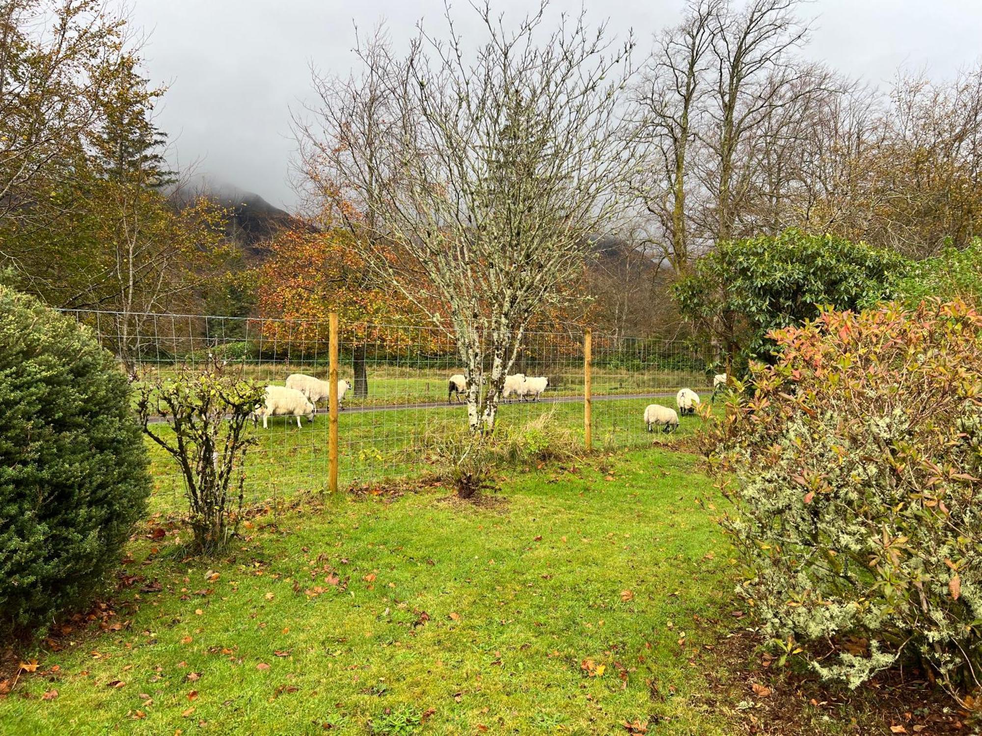 Croft 11 Clovullin * Ardgour